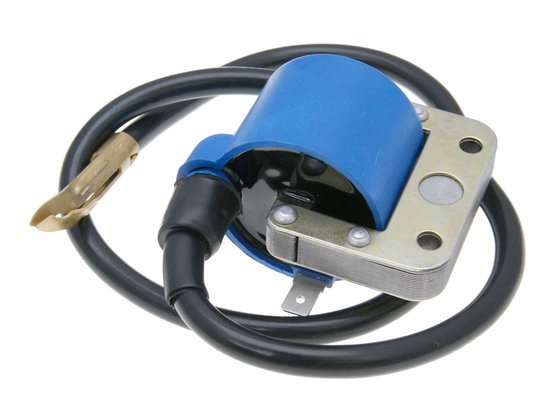 P 125 X (1979 - 1984) ignition coil | 101 OCTANE